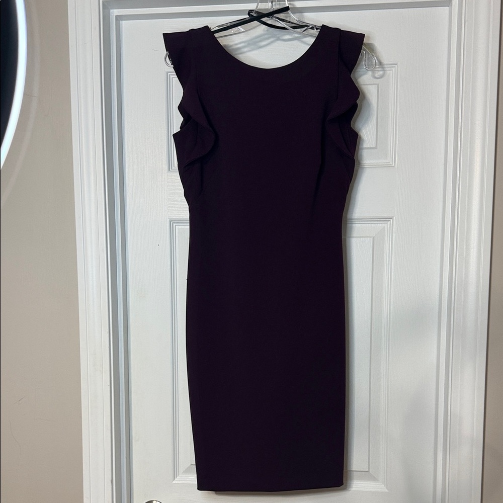 Calvin Klein Size 2 Plum Color Dress